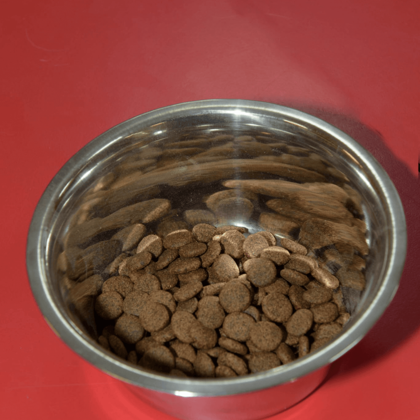 VITALITY Crocchette Cane – Gusto Maiale