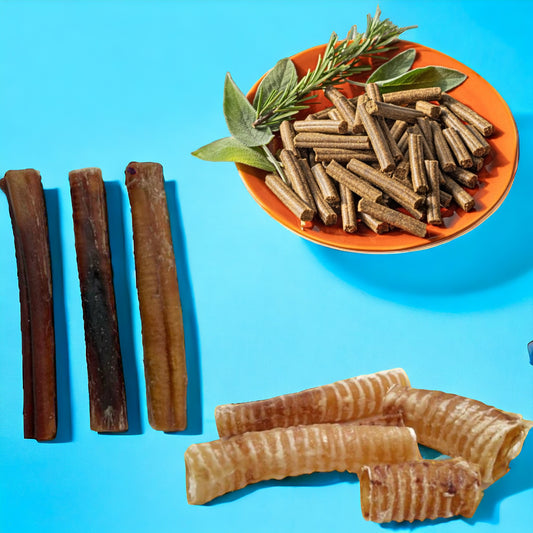 Confezione Famiglia Snack – 14 Confezioni per il Benessere del Tuo Cane
