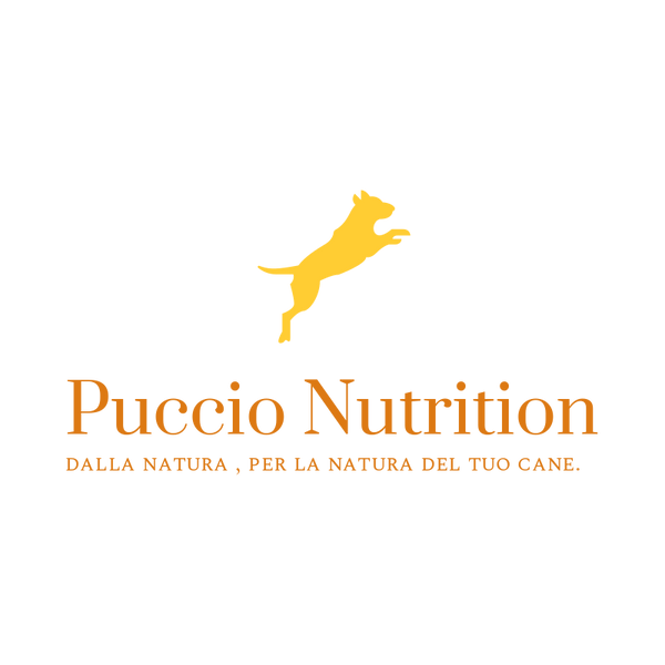 Puccio Nutrition